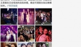 明星黑料网站视频免费,免费视频揭露娱乐圈不为人知的一面